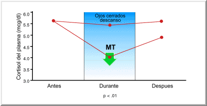 Grafico 04