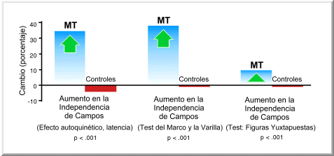 Grafico 07